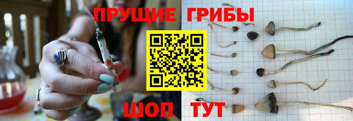 сколько стоит  Вход с VPN  Лысьва  Псилоцибиновые грибы мухоморы 